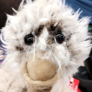 Meet your Posher, Alexia